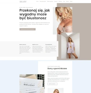 Przykład strony dla sklepu z bielizną damską w Olkuszu